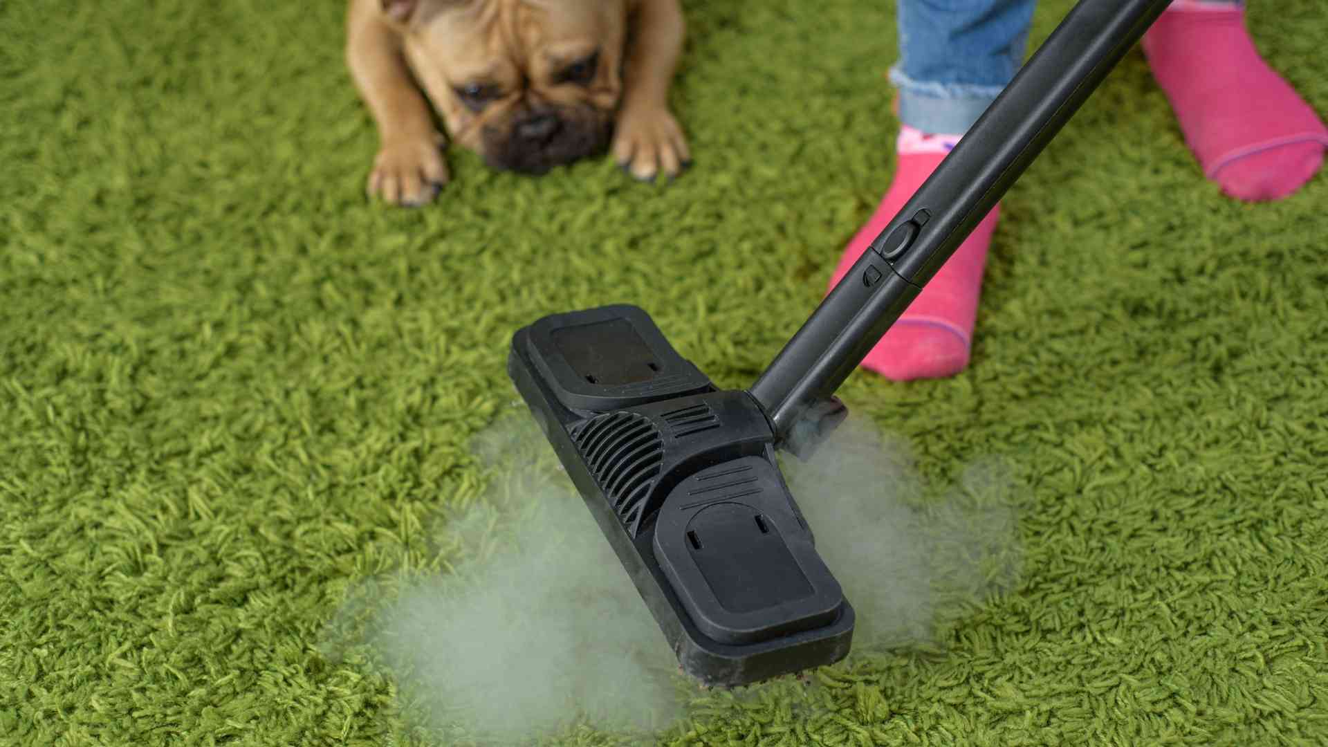 9 helpful tips to hire a carpet cleaner for your home - NepaliPage