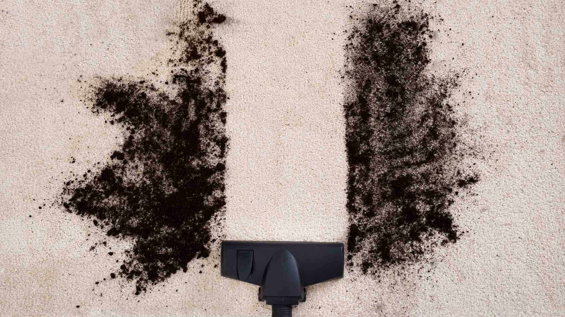 The Ultimate Tips And Tricks to Deal With Carpet Cleaning Services - NepaliPage