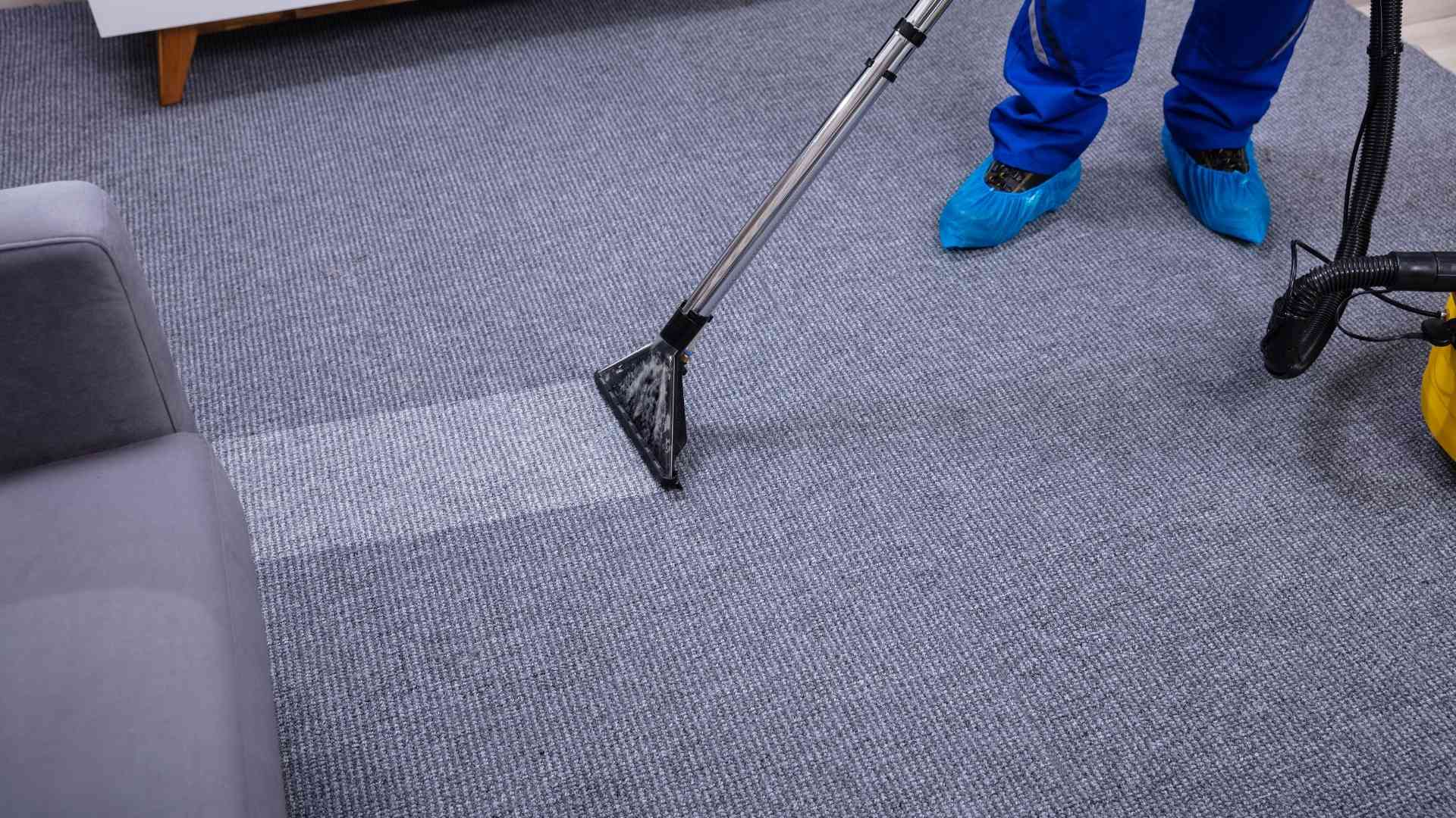 9 helpful tips to hire a carpet cleaner for your home